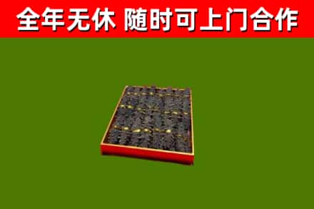 安泽县回收海参